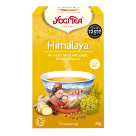 YOGI TEA® Himalaya 17 filter - BIO